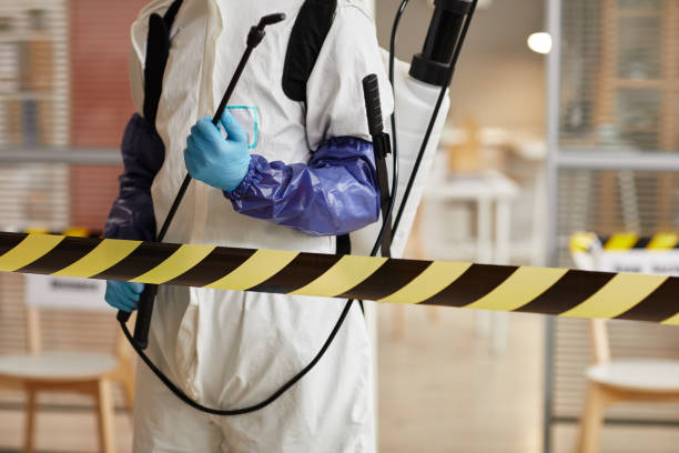 Professional Biohazard technician working in Alamo, IN